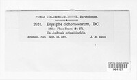 Image Associated With the Occurence